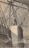 A whaler bailing spermaceti from the severed head of a sperm whale (1874 illustration).