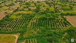 Baki_awdal_district