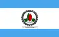 Flag of Pedras Grandes