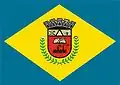Flag of Pitangui