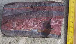 Image 29A banded iron formation from the 3.15&nbsp;Ga Moodies Group, Barberton Greenstone Belt, South Africa. Red layers represent the times when oxygen was available; gray layers were formed in anoxic circumstances. (from History of Earth)