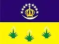 Flag of Conceição do Coité