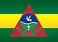 Flag of Rio Pomba
