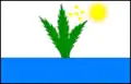 Flag of Tupirama