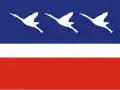Flag of Guaratinguetá