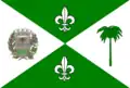 Flag of Macaubal