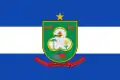 Flag of Campos Novos