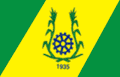 Flag of João Alfredo