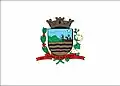 Flag of Palestina