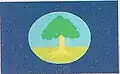 Flag of Paudalho
