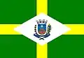 Flag of Pinhalão