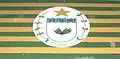 Flag of São Vicente do Seridó