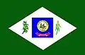 Flag of Sorriso, Mato Grosso