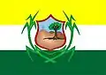 Flag of Timbauba