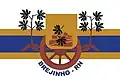 Flag of Brejinho, Rio Grande do Norte