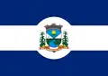 Flag of Princesa, Santa Catarina