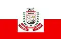 Flag of Irituia