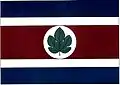 Flag of Taquarituba
