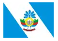 Flag of Vila Pavão