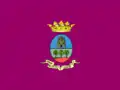 Flag of Villarrobledo