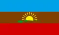 Flag of Arismendi Municipality