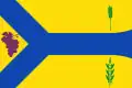 Flag of Bárboles, Spain