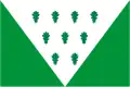 Flag of Boca de Huérgano