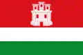Flag of Castrotierra de Valmadrigal