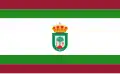 Flag of Hinojos