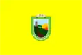 Flag of Lince