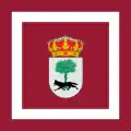 Flag of Muñico