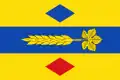 Flag of Plenas