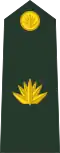 Bangladesh-army-OF-3