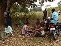 Jungle view