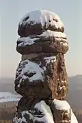 The head of the Barbarine