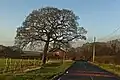 Barker's Hollow Road