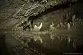 Image 14Barton Creek Cave (from Tourism in Belize)