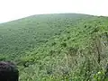 Barunei Hill near Bhubaneswar