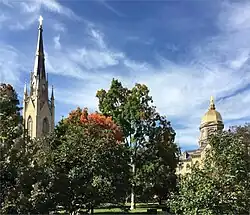 Basilica and Dome