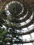 Baumwipfelpfad Neuschönau — walkway ramps into the tree tops.