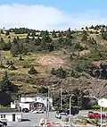 Beach Hill, just behind the ferry dock, consists of an alternation of grasses and conifers