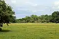 Meadow habitat, England