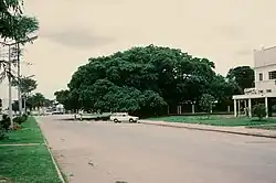 The Big Tree National Monument, a large fig tree () historically used as a meeting place and now converted into a park (1974)