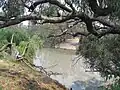 Billabong Creek at Wanganella