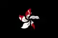 Hong Kong flag variant, with wilted bloodstained petals