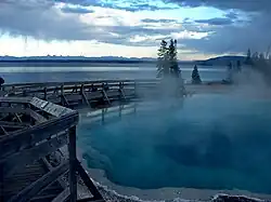 Black Pool, 2003
