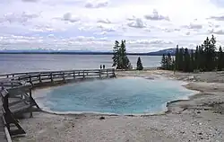 Black Pool, 2006
