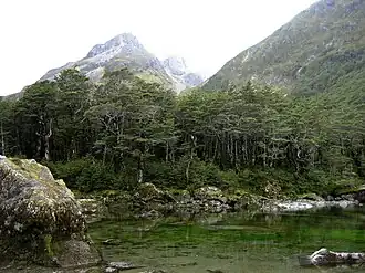 Blue lake