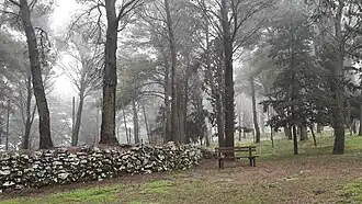 Bosco della Baronia