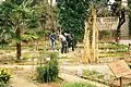 Gardeners working